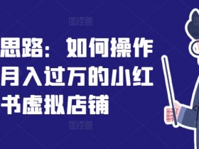 虚拟商品项目真实案例，小红书变现全新思路分享