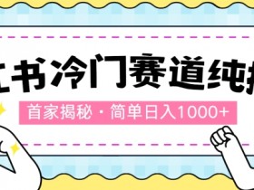 2025年短剧蓝海风口，小红书短剧赚钱的实操干货分享