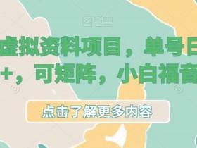 小红书蓝海虚拟资料玩法，信息差项目轻松变现