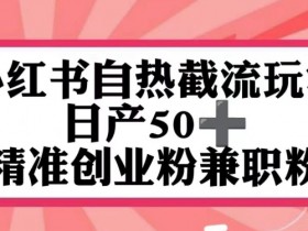 短剧搬砖操作全解析，小红书如何快速实现收益增长？