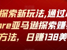 亚马逊成人用品的独立站运营方案，从0到1的详细操作流程