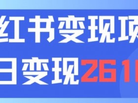 小红书掘金流量项目合法吗，冷门赛道的操作风险分析