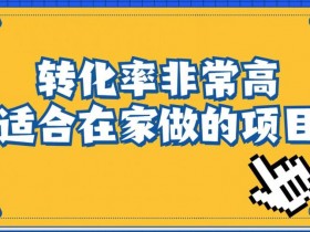 新手在小红书玩虚拟资料项目，0门槛操作入门指南