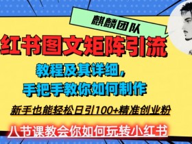 小红书如何高效带货，笔记推广与精准引流的全解析