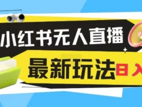 小红书旅游项目运营全攻略，从分类选择到变现的详细流程