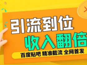 贴吧引流是否值得做，深度分析平台的优势与挑战