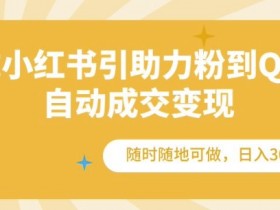 如何用小红书图文矩阵做推广，日引流量100+的秘籍分享