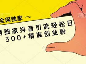 抖音营销推广项目总结，成功与失败案例的经验教训分享