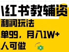 小红书掘金虚拟项目的操作技巧，低成本引流的玩法解析