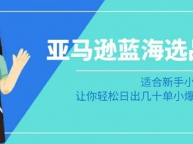 亚马逊成人用品成功卖家经验分享，如何打造月销百万的店铺？