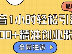 抖音营销推广项目总结，成功与失败案例的经验教训分享