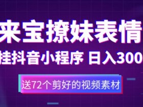 表情包变现玩法揭秘，2分钟一个视频轻松日入800+