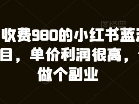 2025年短剧蓝海风口，小红书短剧赚钱的实操干货分享