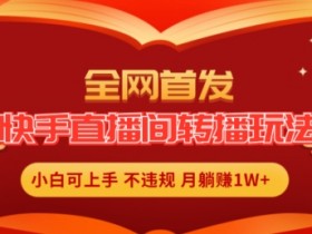 虚拟主播的操作技巧，如何设置并优化你的虚拟直播间主播角色