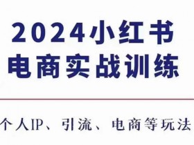 小红书精准引流实战课程，日引200+流量的操作步骤