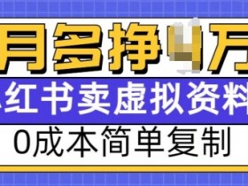 虚拟商品类目选什么，小红书平台分类攻略