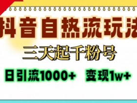 抖音社群如何通过用户画像优化运营，精准吸粉的核心策略