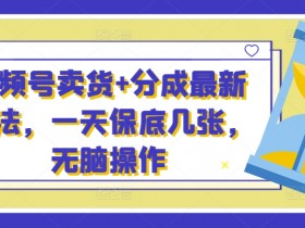 视频号素人直播成功案例分享，从零到月入10万的实战经验