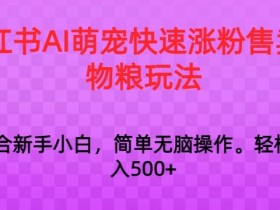 小红书运营岗位职责详细解析，从策划到执行的全流程