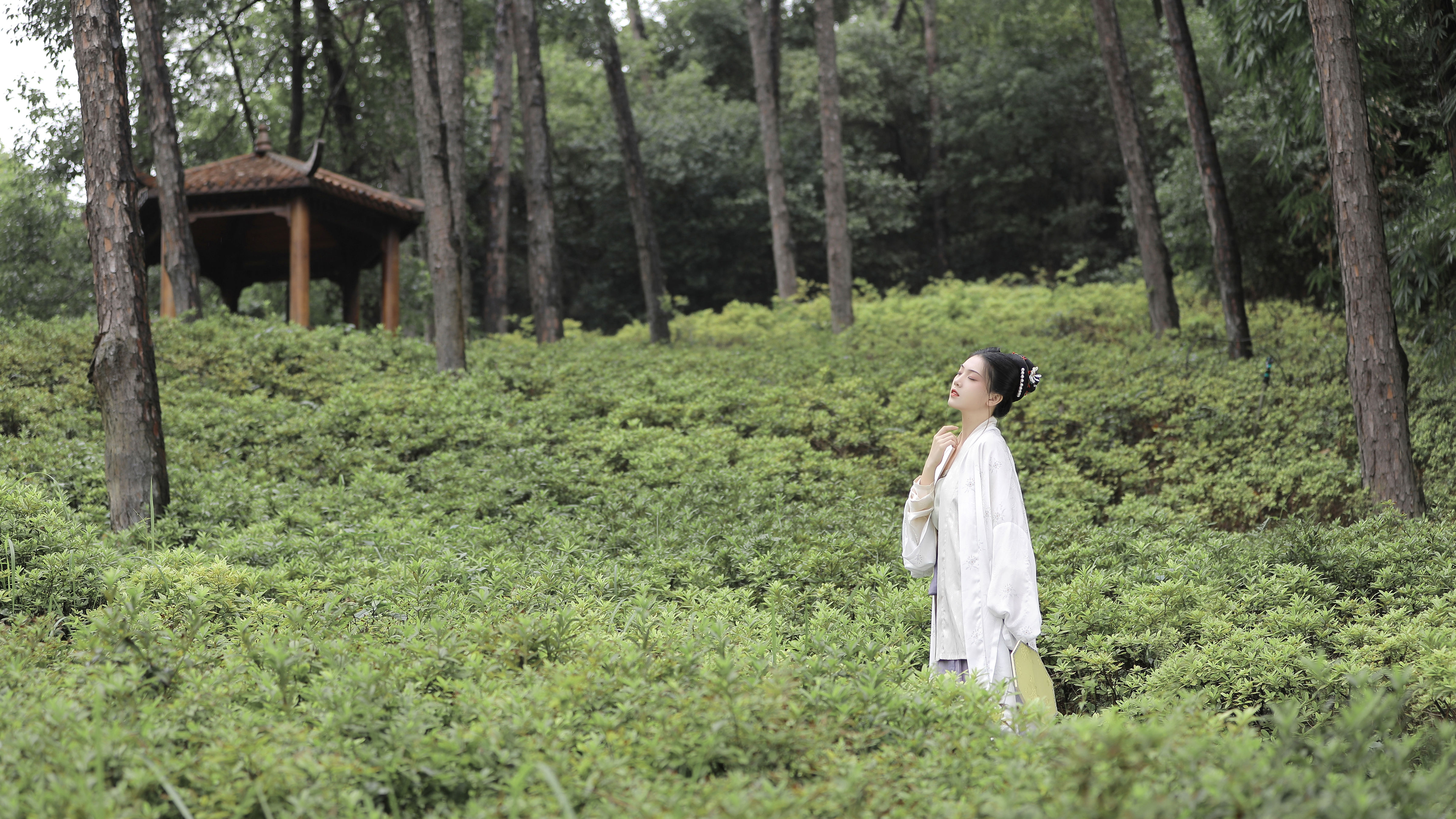 [YiTuYu艺图语] 芝芝琪《剪一片云绿》 好看的4K高清无水印纯欲妹子意境唯美写真完整版图集