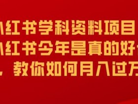 2025学科资料项目怎么玩，小红书从引流到收益的完整流程