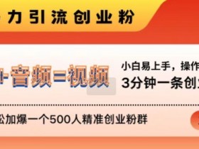 抖音社群如何通过用户画像优化运营，精准吸粉的核心策略