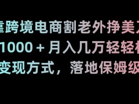 如何做迪拜跨境电商成功案例分析，迪拜电商成功运营指南