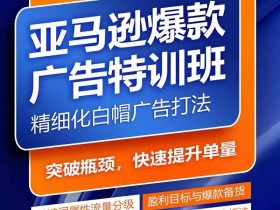 亚马逊成人用品如何选择目标市场，各国政策与需求分析