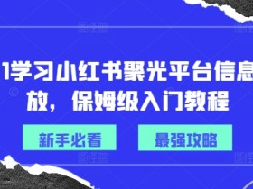 小红书掘金项目适合个人操作吗，轻松入门的虚拟兼职攻略