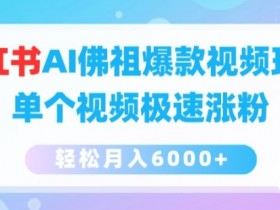 小红书掘金项目有哪些玩法，冷门赛道日入3000+的秘籍