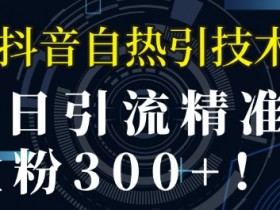 抖音社群如何通过用户画像优化运营，精准吸粉的核心策略