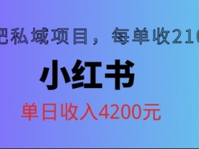 小红书海外旅游攻略怎么做，虚拟项目变现案例详解