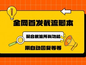 小红书掘金虚拟项目怎么玩，低成本操作的新手入门教程