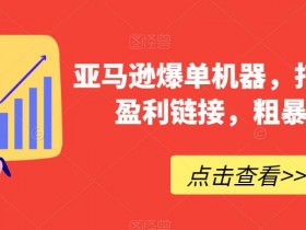 2025年亚马逊新手如何入局，从选品到运营的趋势指南