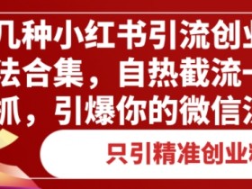 小红书矩阵引流到微信怎么做，日增创业粉200+的方法揭秘