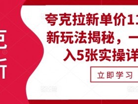 如何做好夸克拉新，高效拉新策略与实操方法