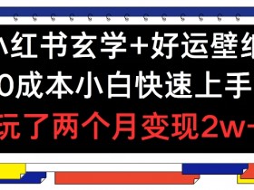 小红书掘金项目日引流150+，流量变现全流程操作指南