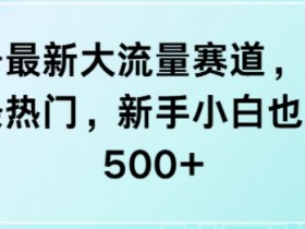 视频号无人直播CPA项目怎么玩，低成本高收益的运营秘诀