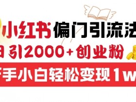 小红书矩阵引流适合哪些行业，创业粉精准获客的玩法解析