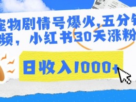 如何规划小红书运营项目，轻松完成方案编写的入门指南