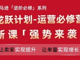 亚马逊成人用品广告的精准投放策略，流量变现的关键点