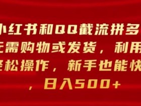 小红书掘金虚拟资料项目，月入5000+的冷门玩法实操解析