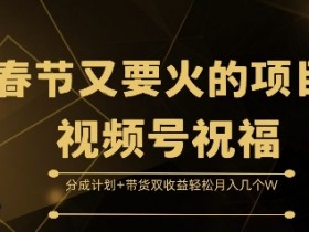 视频号素人直播如何策划选题，快速吸引观众的选题技巧