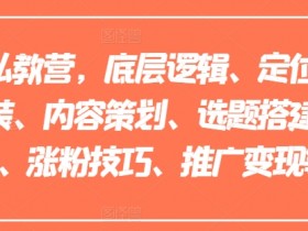 小红书掘金项目蓝海玩法，从内容到引流的高收益操作方法