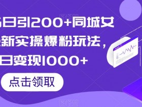 实体店引流工具哪家好用，帮助店铺实现高效推广的推荐清单