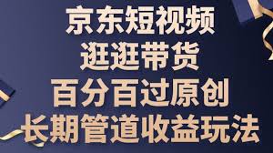 京东短视频带货如何使用数据分析，数据分析助力带货决策与优化策略