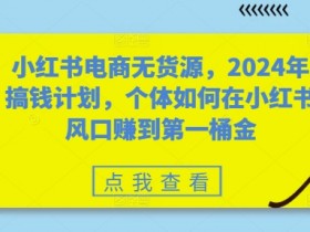 小红书高端旅游项目的秘密，日入过千的虚拟项目拆解