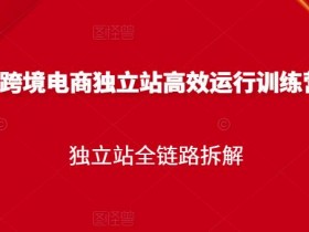 如何做迪拜跨境电商成功案例分析，迪拜电商成功运营指南