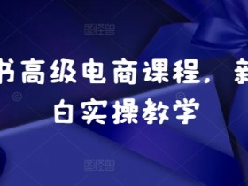 小红书高端私人定制项目，一单3000+利润的全套教程