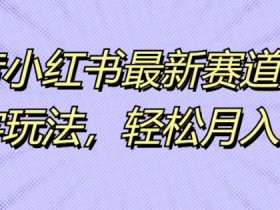 小红书掘金项目适合个人操作吗，轻松入门的虚拟兼职攻略